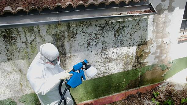 Trusted Bathroom Mold Removal service in Zieglerville, PA - Cheap Mold Removal